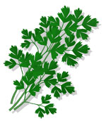 immagine da sogno prezzemolo, un sogno in cucina